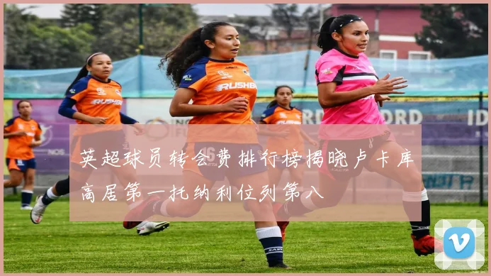 英超球员转会费排行榜揭晓卢卡库高居第一托纳利位列第八